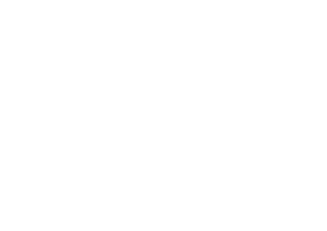 Hvid_logotype